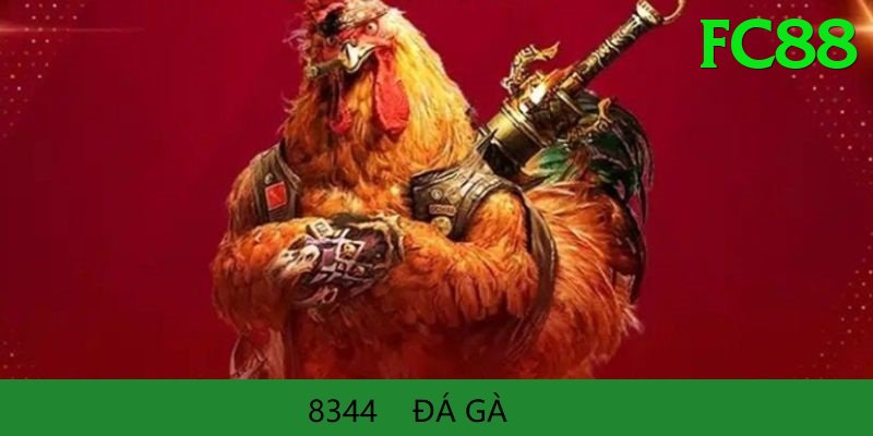 Đá Gà Trực Tiếp - fc88 - Không cần cài