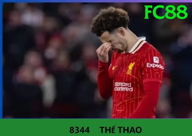 Cá Cược Thể Thao - Ưu đãi đặc biệt - Game casual